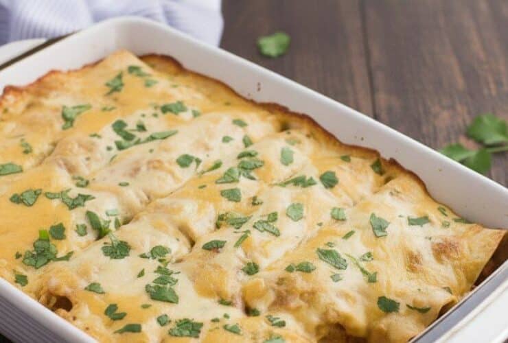 The Ultimate Vegan Enchiladas You’ll Love 5895638359990799170 121
