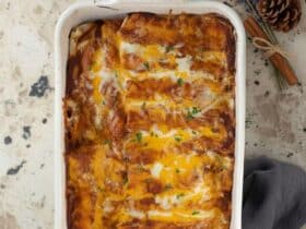Gluten-Free Chicken Enchiladas with Homemade Red Sauce 5895638359990799182 121