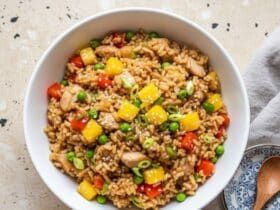 Ultimate Pineapple Chicken Fried Rice Recipe 5895638359990799196 121