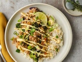 Teriyaki Ground Turkey Rice Bowl (Easy, Flavor-Packed & Weeknight-Friendly) 5915796952203332439 121
