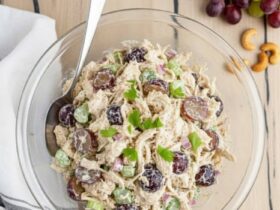 Creamy Greek Yogurt Chicken Salad: A Fresh, High-Protein Classic Made Lighter unnamed 19 e1769361476882