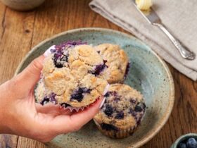 Soft & Healthy Blueberry Protein Muffins (High-Protein Breakfast Idea) unnamed 30 1 e1773637322401